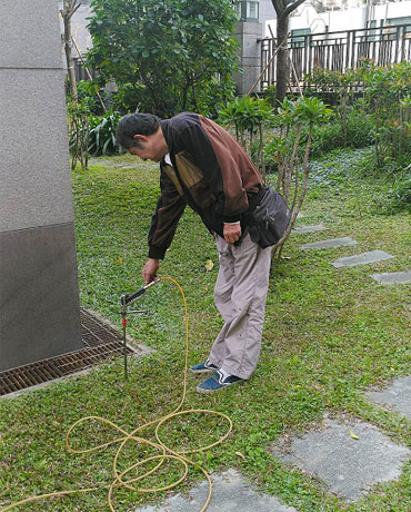 高雄白蟻防治作業